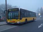 bus/235653/mb-o-530---citaro-dreituerig-- MB O-530 - Citaro (dreitrig) - B V 1308 - in Hnow, am U-Bhf Hnow