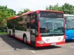 Bus/235065/mb-o-530-ii-le---citaro MB O-530 II LE - Citaro - CB CV 321 - abgestellt - in Cottbus, Busbahnhof
