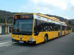Bus/236287/dvb---mb-o-530-ii-gdh DVB - MB O-530 II GDH - Citaro Hybrid - DD VB 6202 - in Dresden, Pillnitz, Leoandro-da-Vinci-Strae