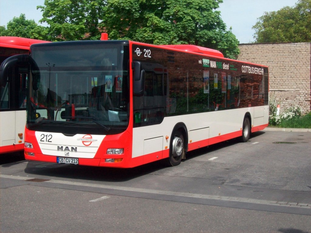 MAN Loin´s City - CB CV 212 - abgestellt - in Cottbus, Busbahnhof