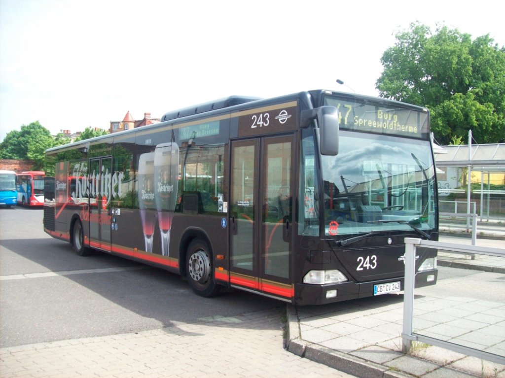 MB O-530 - Citaro - CB CV 243 - abgestellt - in Cottbus, Busbahnhof