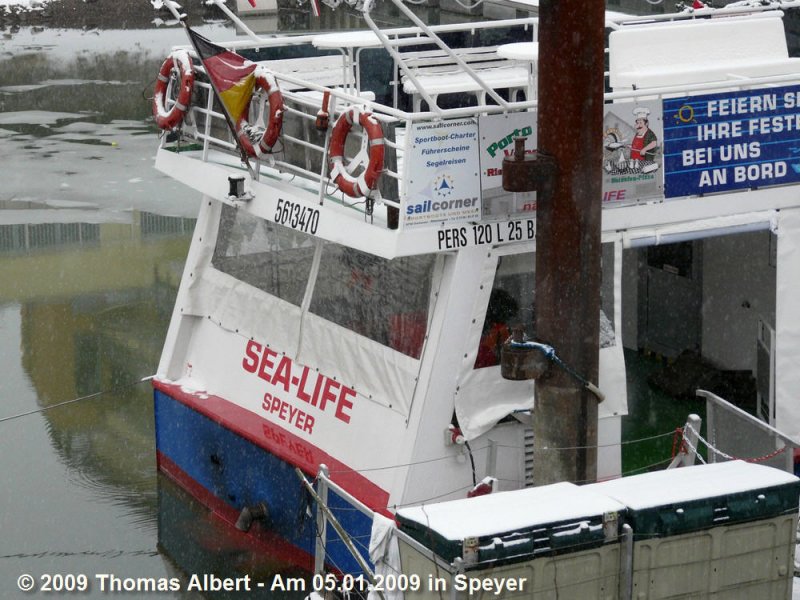 Weitere Fotos:  SEA-LIFE  (1999) - Heckansicht mit Schiffsnummer, Passagierzahl und Heimathafen Speyer. Urspr�nglich war das Schiff in Born an der Ostsee beheimatet.